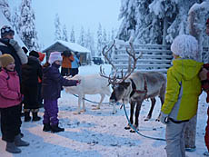 Детский лагерь в Финляндии